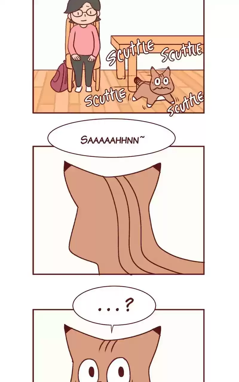 Saphie: The One-Eyed Cat Chapter 343: