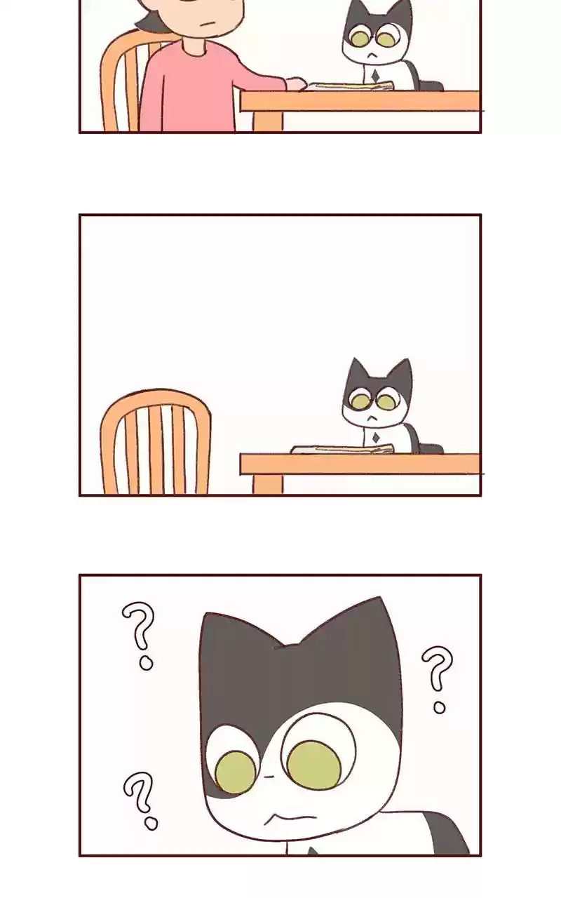 Saphie: The One-Eyed Cat Chapter 344: