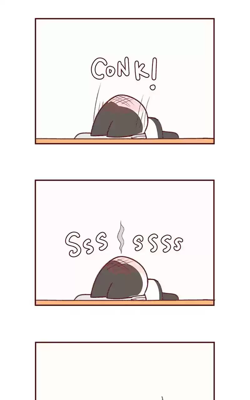 Saphie: The One-Eyed Cat Chapter 344: