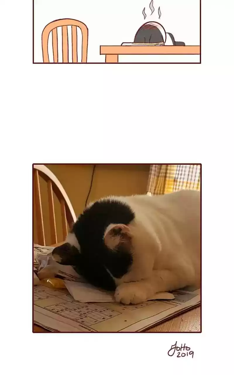 Saphie: The One-Eyed Cat Chapter 344: