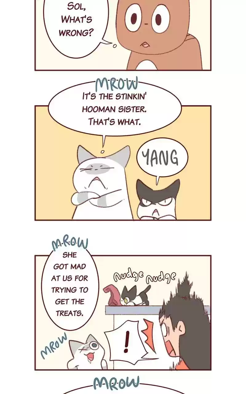 Saphie: The One-Eyed Cat Chapter 346: