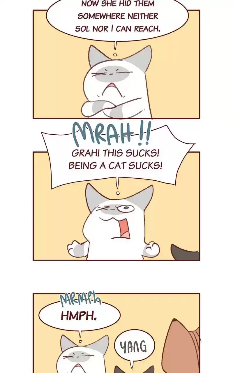 Saphie: The One-Eyed Cat Chapter 346: