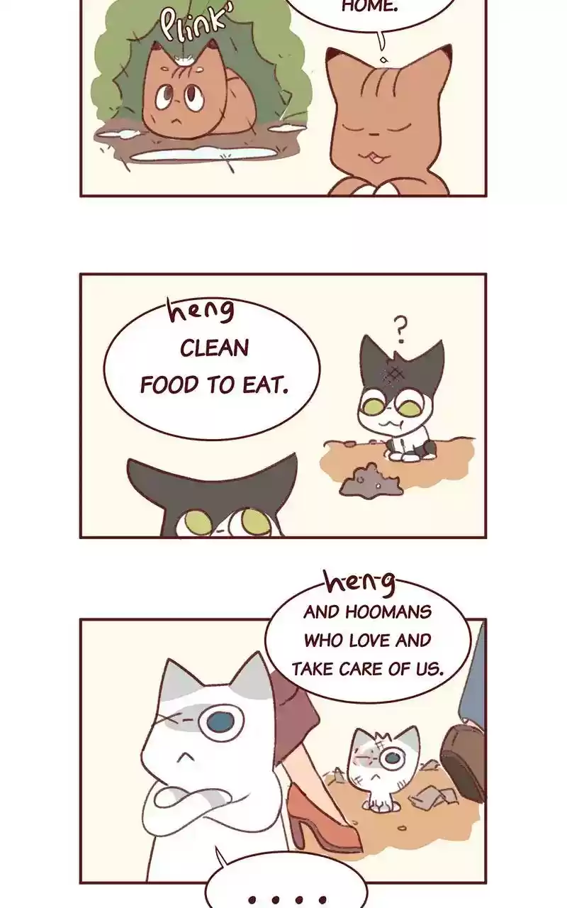 Saphie: The One-Eyed Cat Chapter 346: