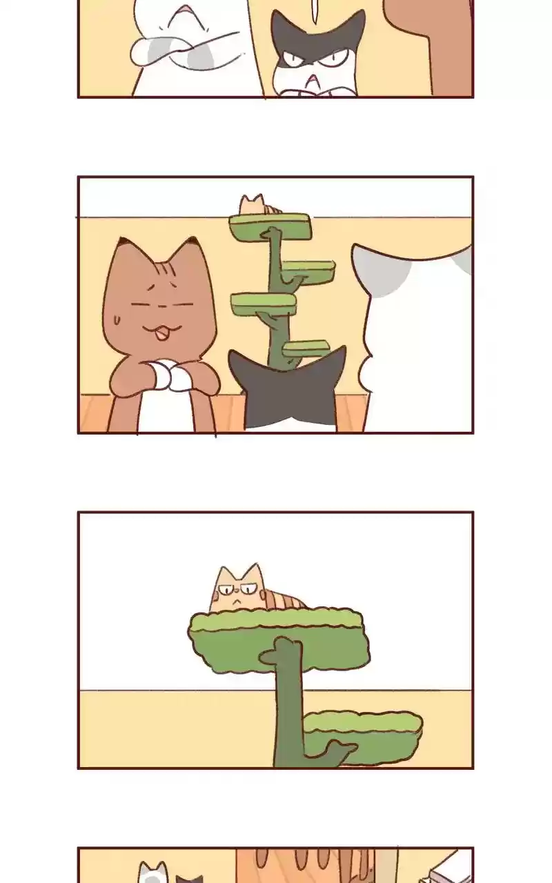 Saphie: The One-Eyed Cat Chapter 346: