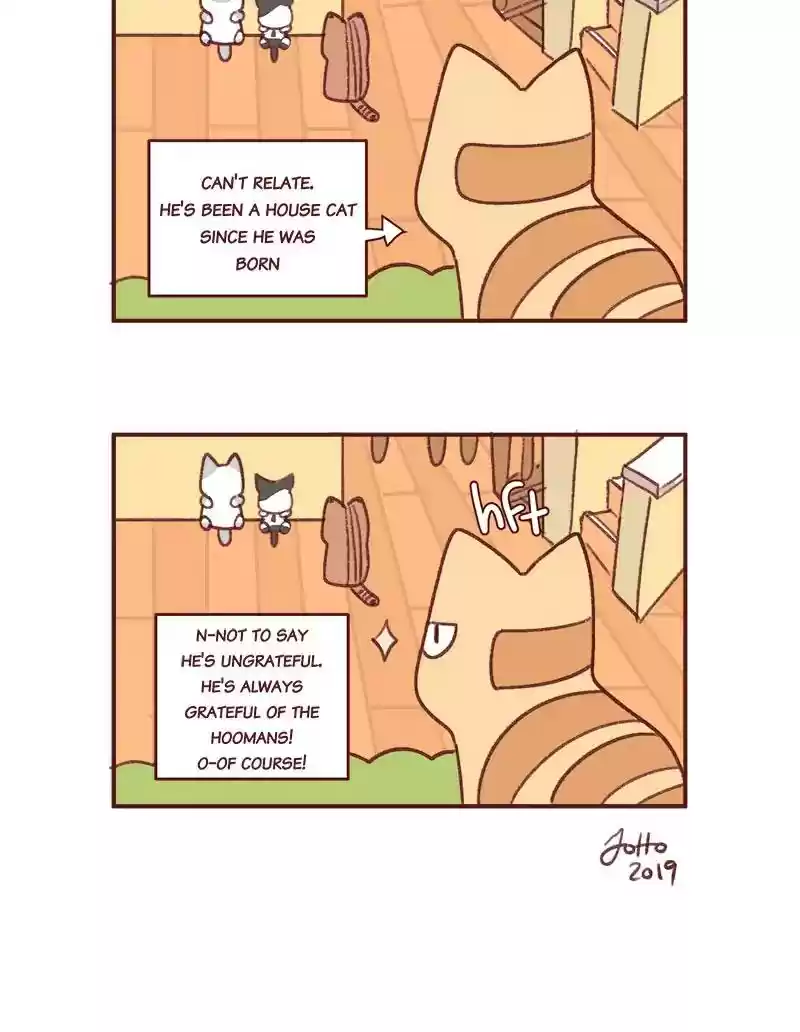 Saphie: The One-Eyed Cat Chapter 346: