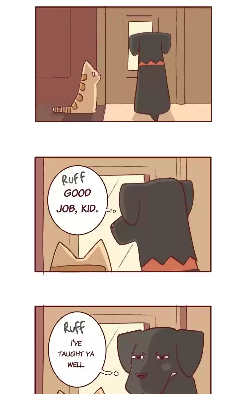 Saphie: The One-Eyed Cat Chapter 347: