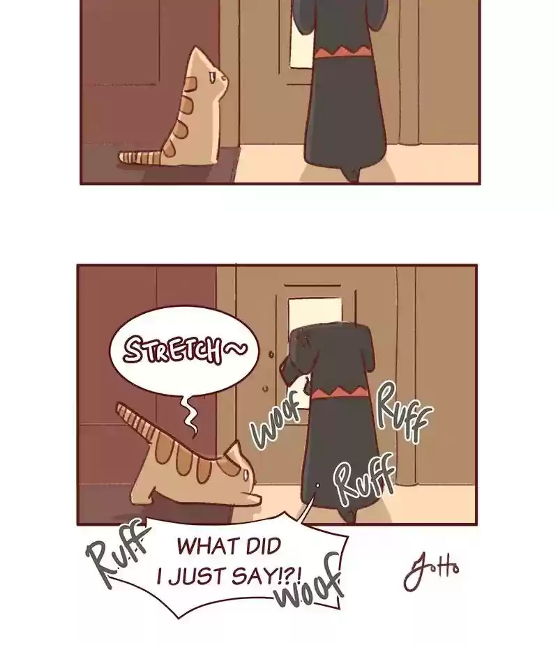 Saphie: The One-Eyed Cat Chapter 347: