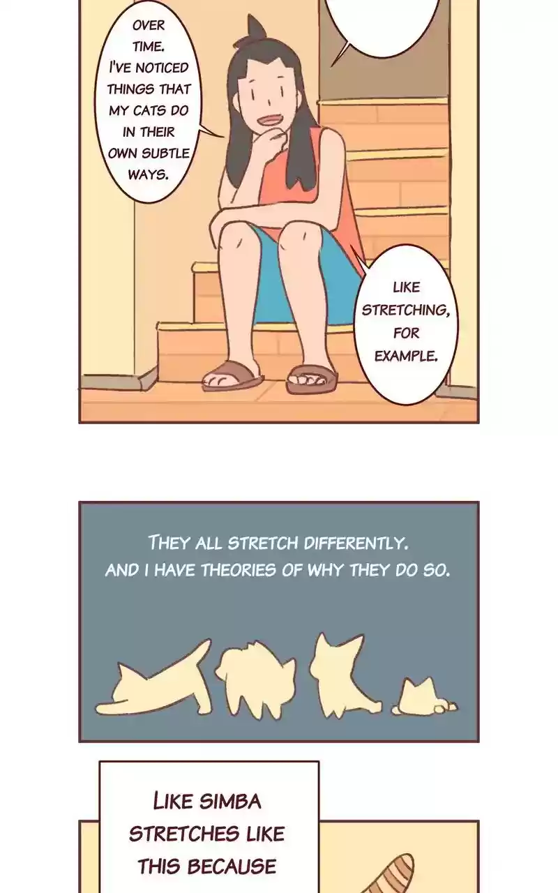 Saphie: The One-Eyed Cat Chapter 348: