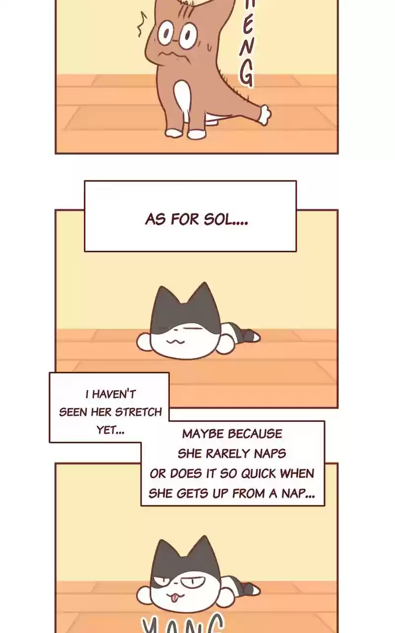 Saphie: The One-Eyed Cat Chapter 348: