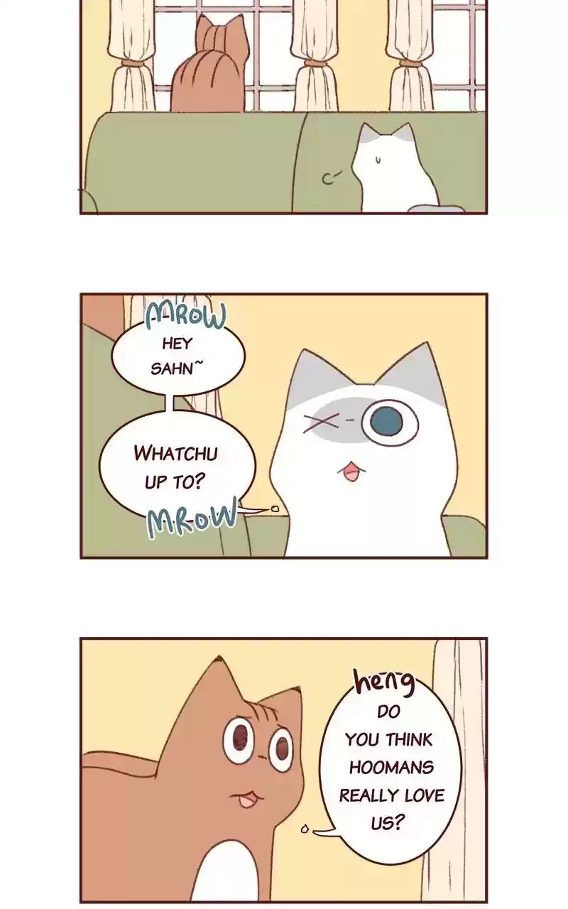 Saphie: The One-Eyed Cat Chapter 349: