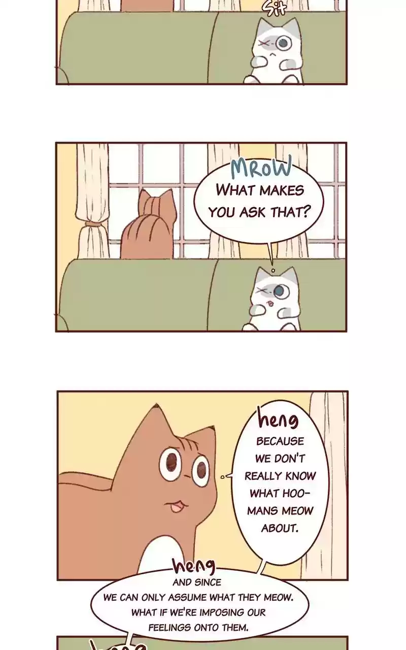 Saphie: The One-Eyed Cat Chapter 349: