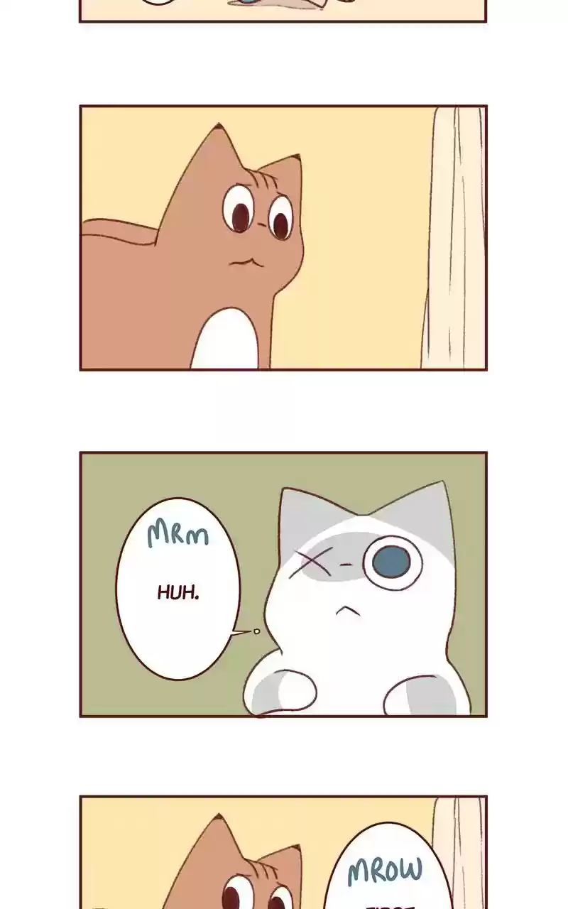 Saphie: The One-Eyed Cat Chapter 349: