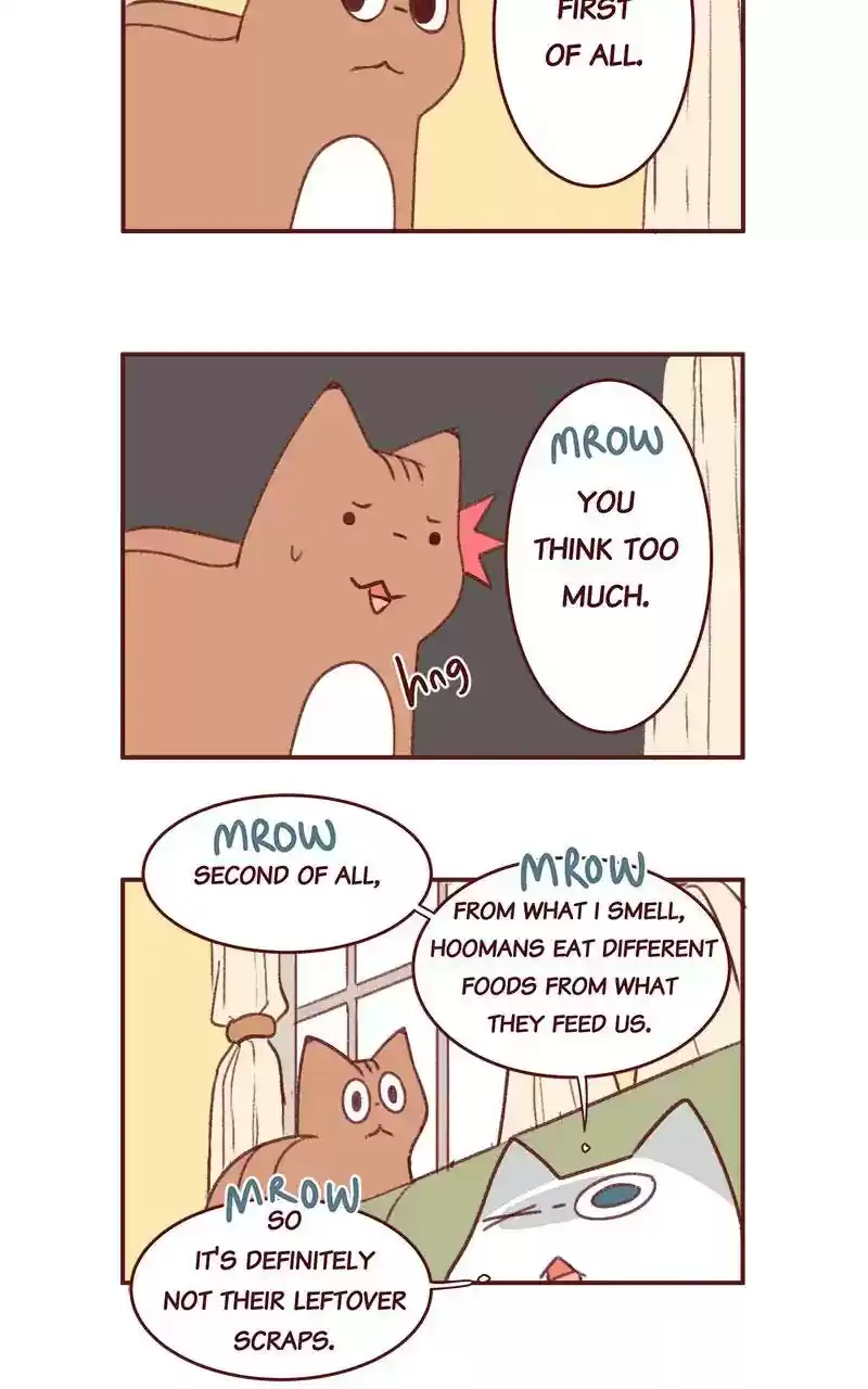 Saphie: The One-Eyed Cat Chapter 349: