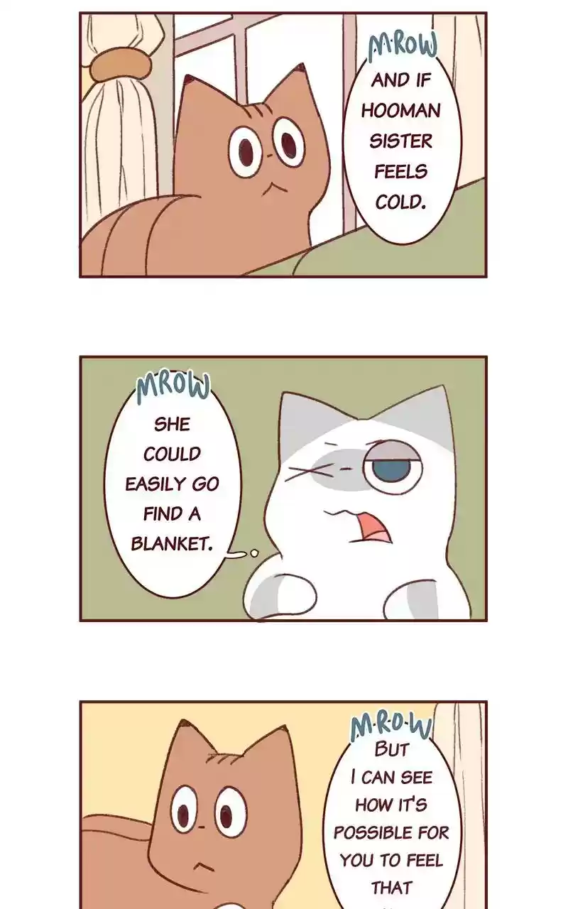 Saphie: The One-Eyed Cat Chapter 349: