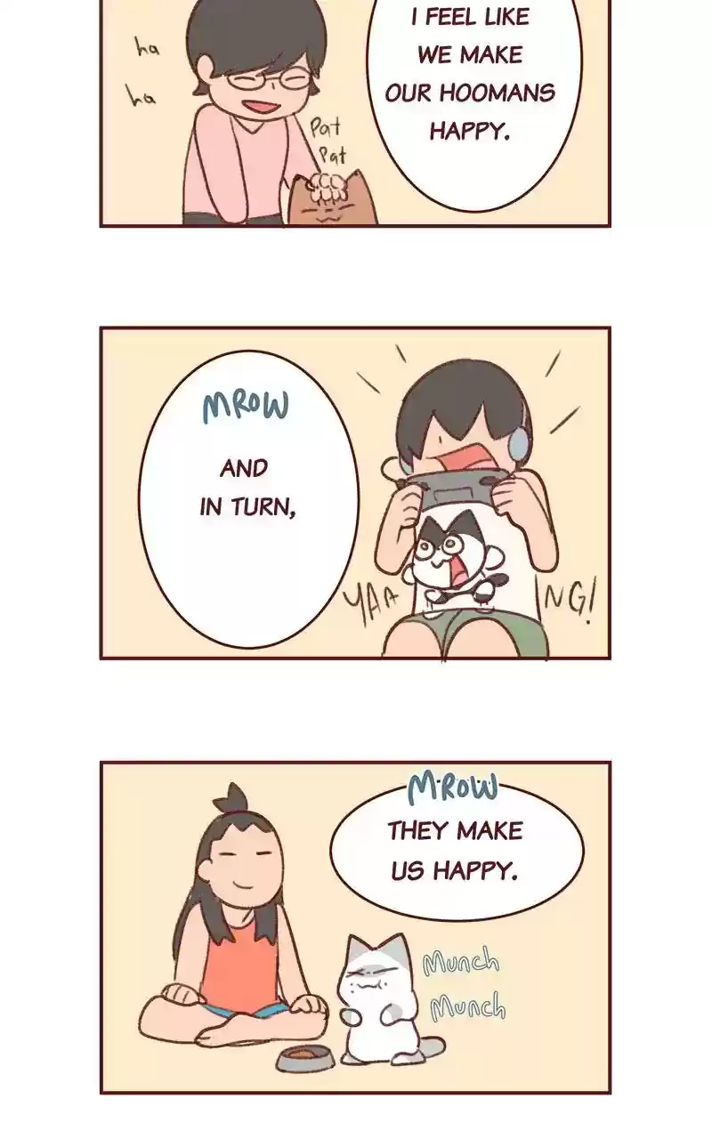 Saphie: The One-Eyed Cat Chapter 349: