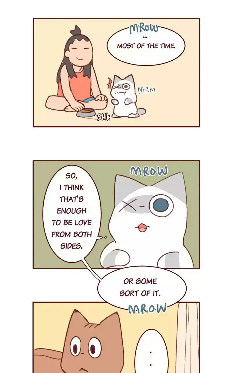 Saphie: The One-Eyed Cat Chapter 349: