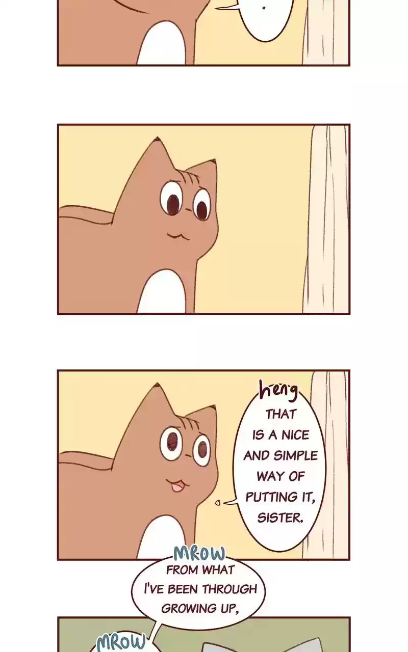 Saphie: The One-Eyed Cat Chapter 349: