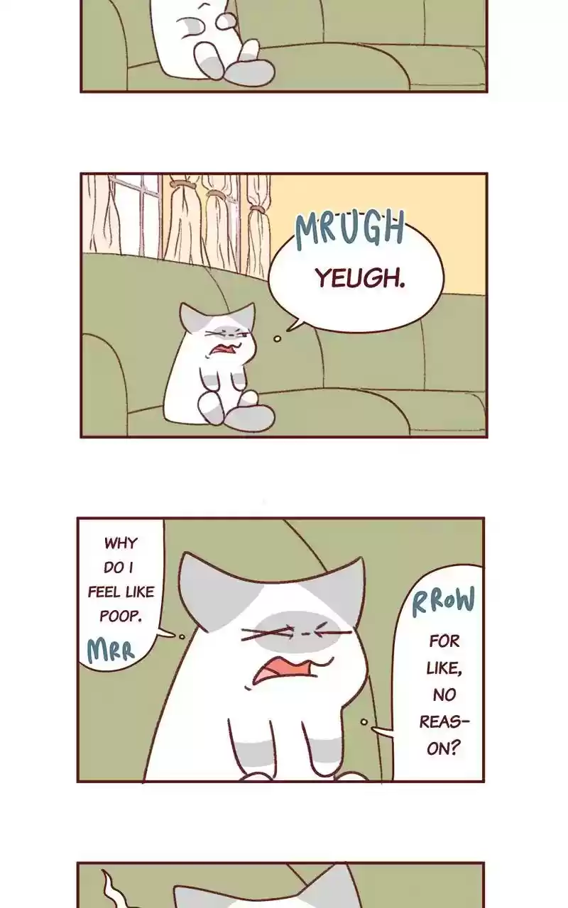 Saphie: The One-Eyed Cat Chapter 350: