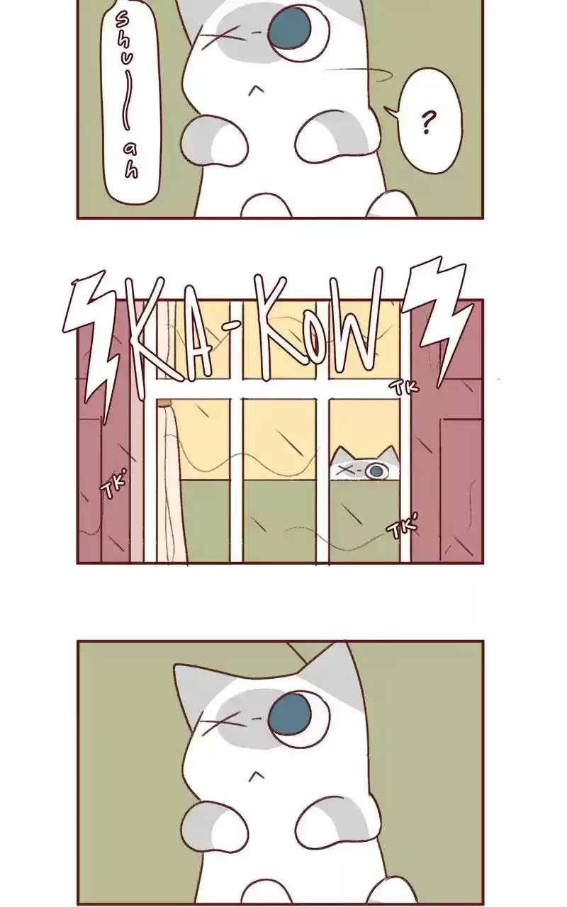 Saphie: The One-Eyed Cat Chapter 350: