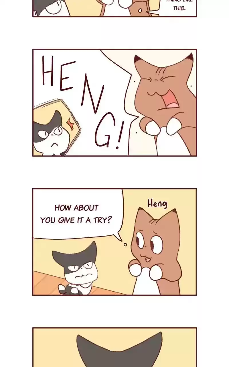 Saphie: The One-Eyed Cat Chapter 351: