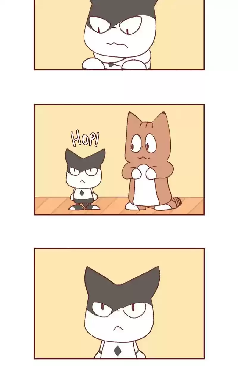 Saphie: The One-Eyed Cat Chapter 351: