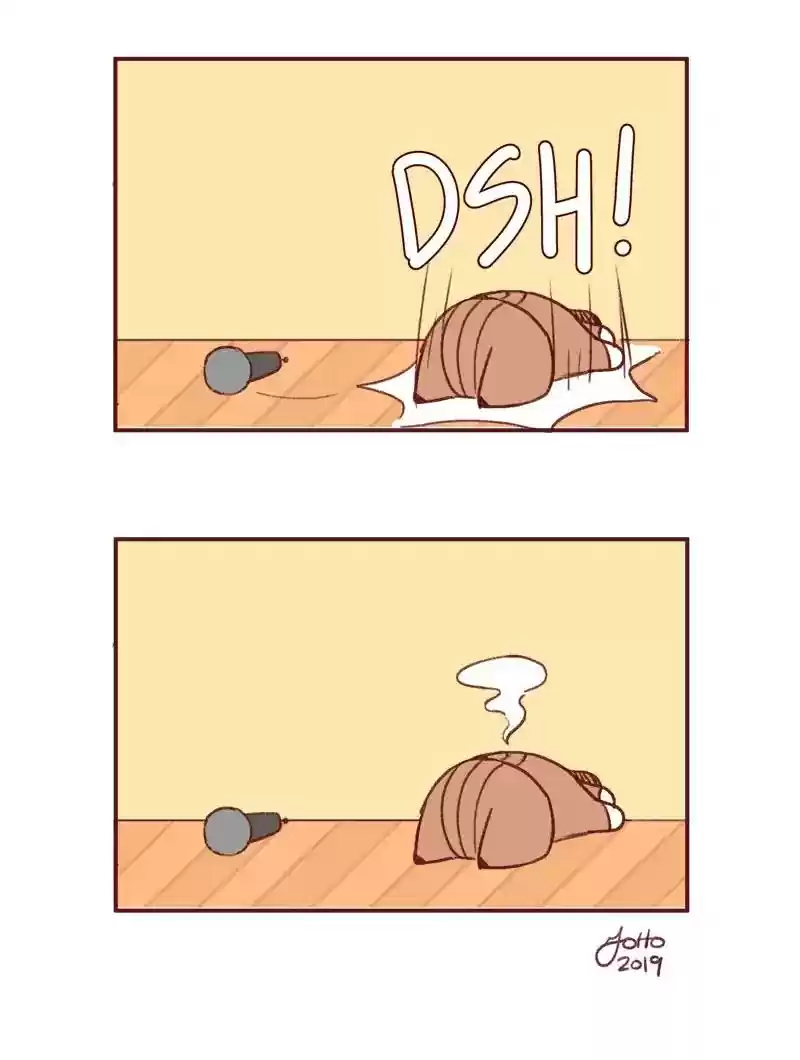 Saphie: The One-Eyed Cat Chapter 351: