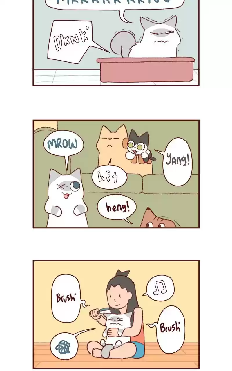 Saphie: The One-Eyed Cat Chapter 352: