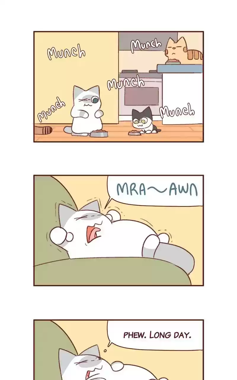 Saphie: The One-Eyed Cat Chapter 352: