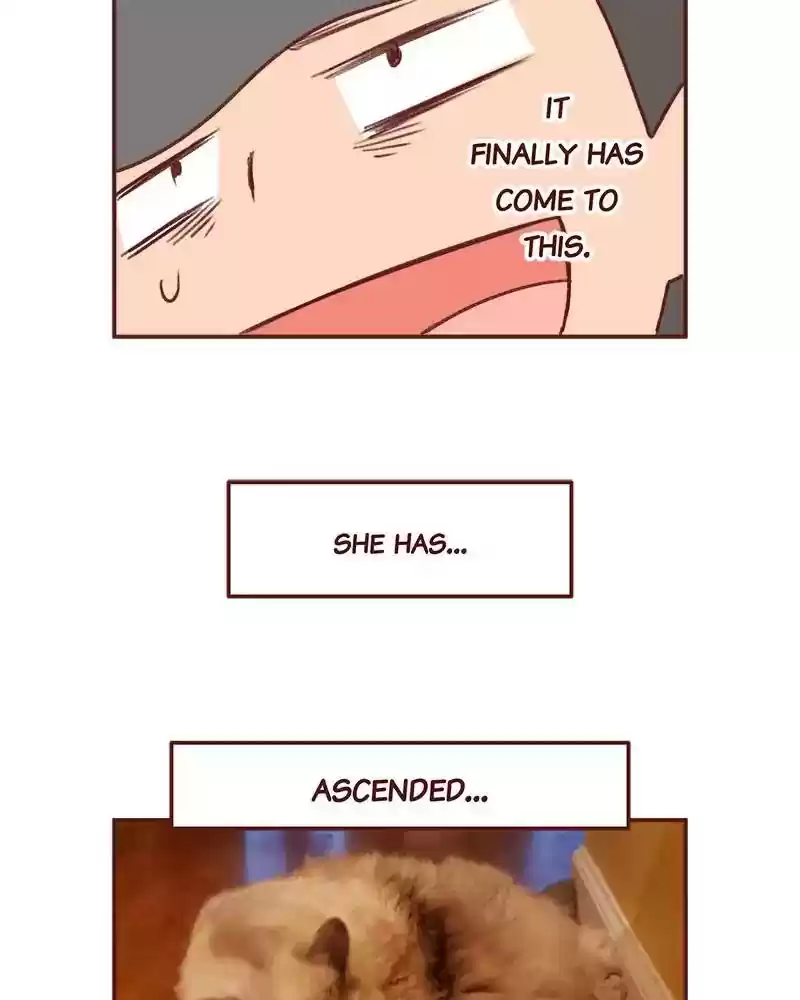 Saphie: The One-Eyed Cat Chapter 354: