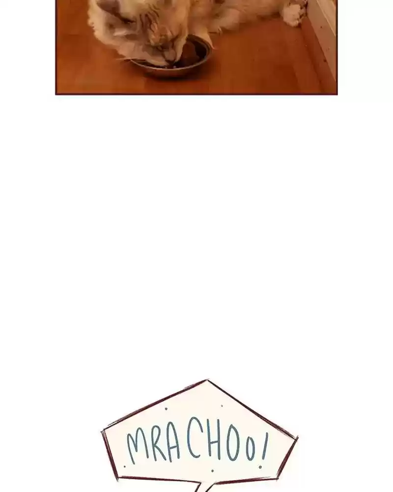 Saphie: The One-Eyed Cat Chapter 354: