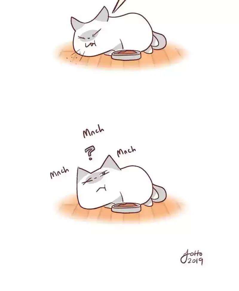 Saphie: The One-Eyed Cat Chapter 354: