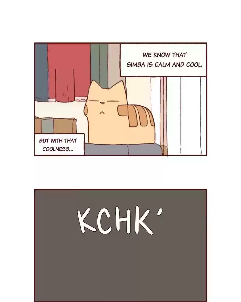 Saphie: The One-Eyed Cat Chapter 355: