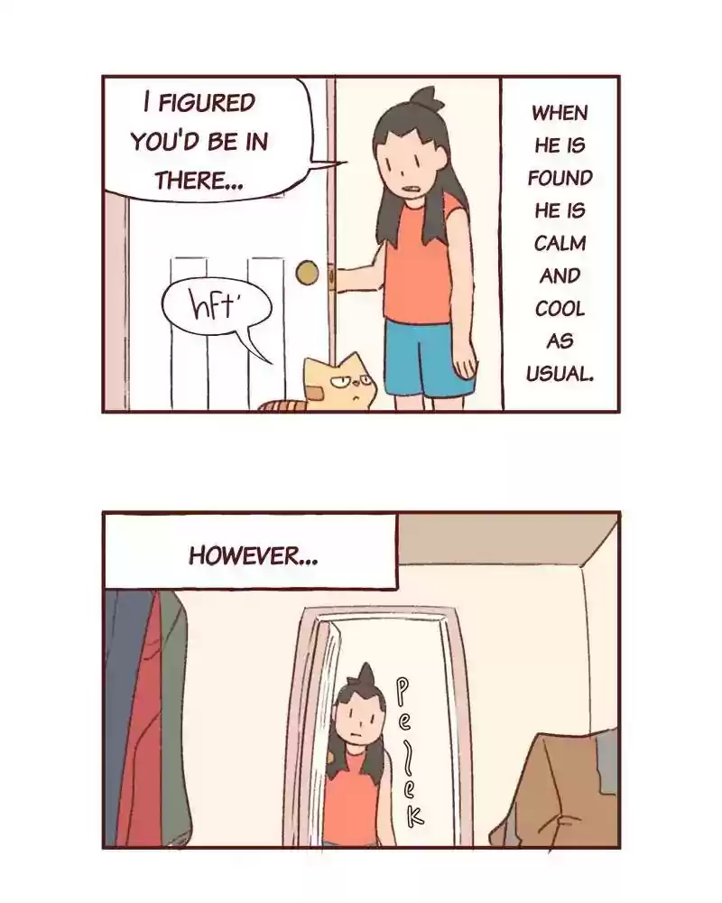 Saphie: The One-Eyed Cat Chapter 355: