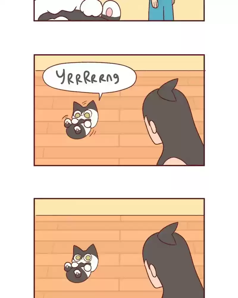 Saphie: The One-Eyed Cat Chapter 356: