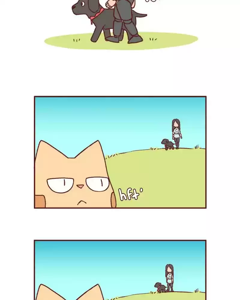 Saphie: The One-Eyed Cat Chapter 358: