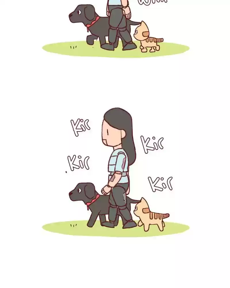 Saphie: The One-Eyed Cat Chapter 358: