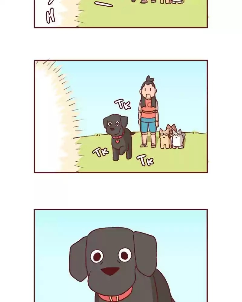 Saphie: The One-Eyed Cat Chapter 359: