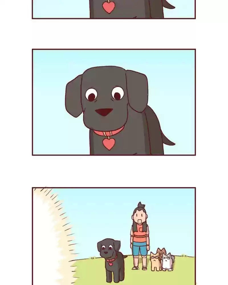 Saphie: The One-Eyed Cat Chapter 359: