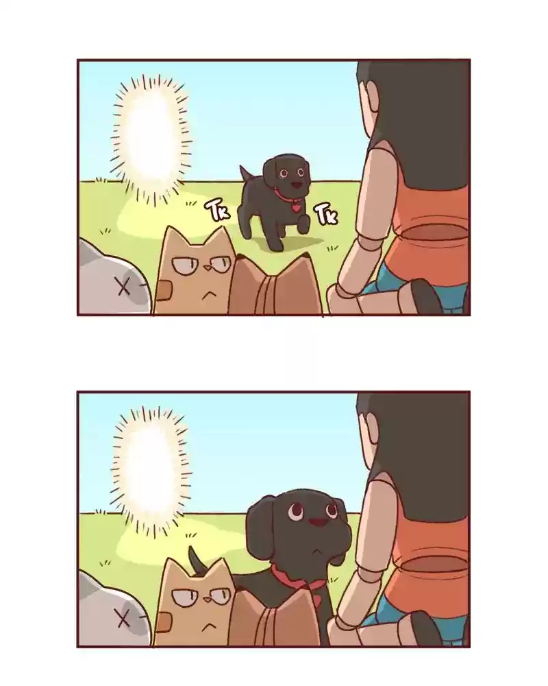 Saphie: The One-Eyed Cat Chapter 359: