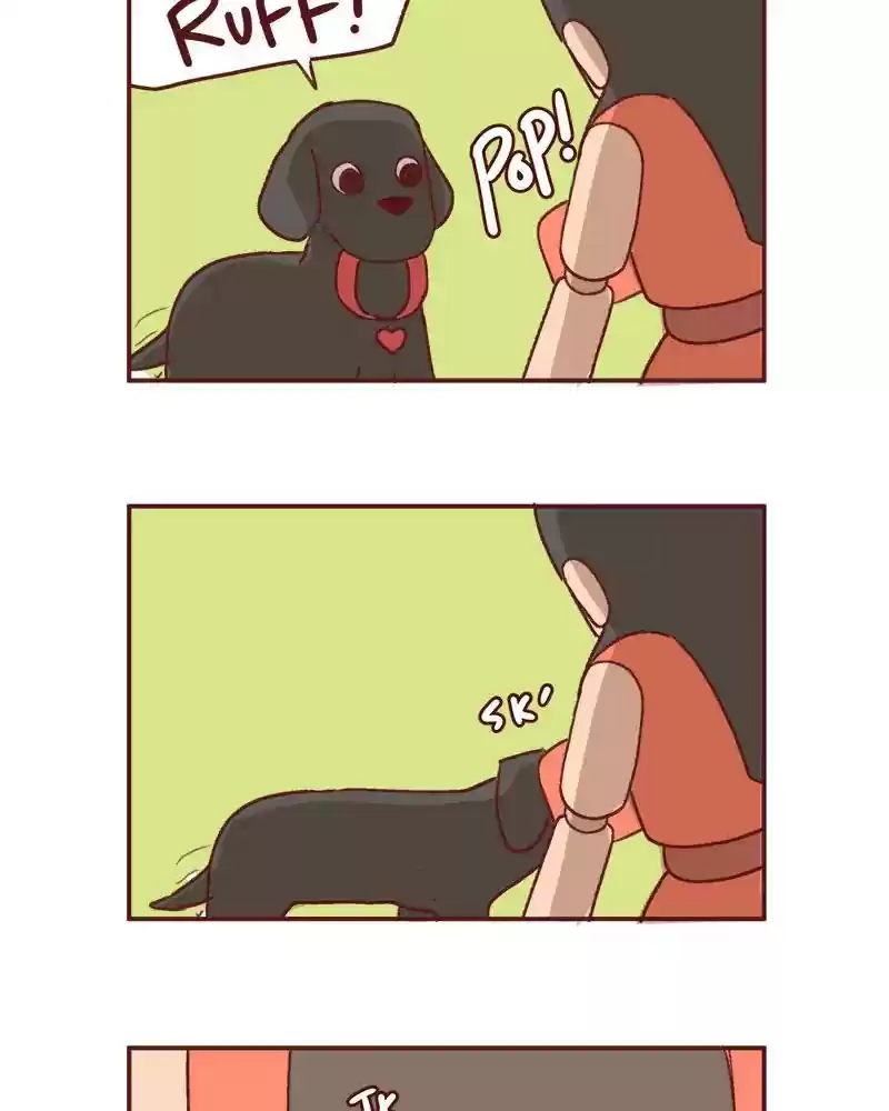 Saphie: The One-Eyed Cat Chapter 359: