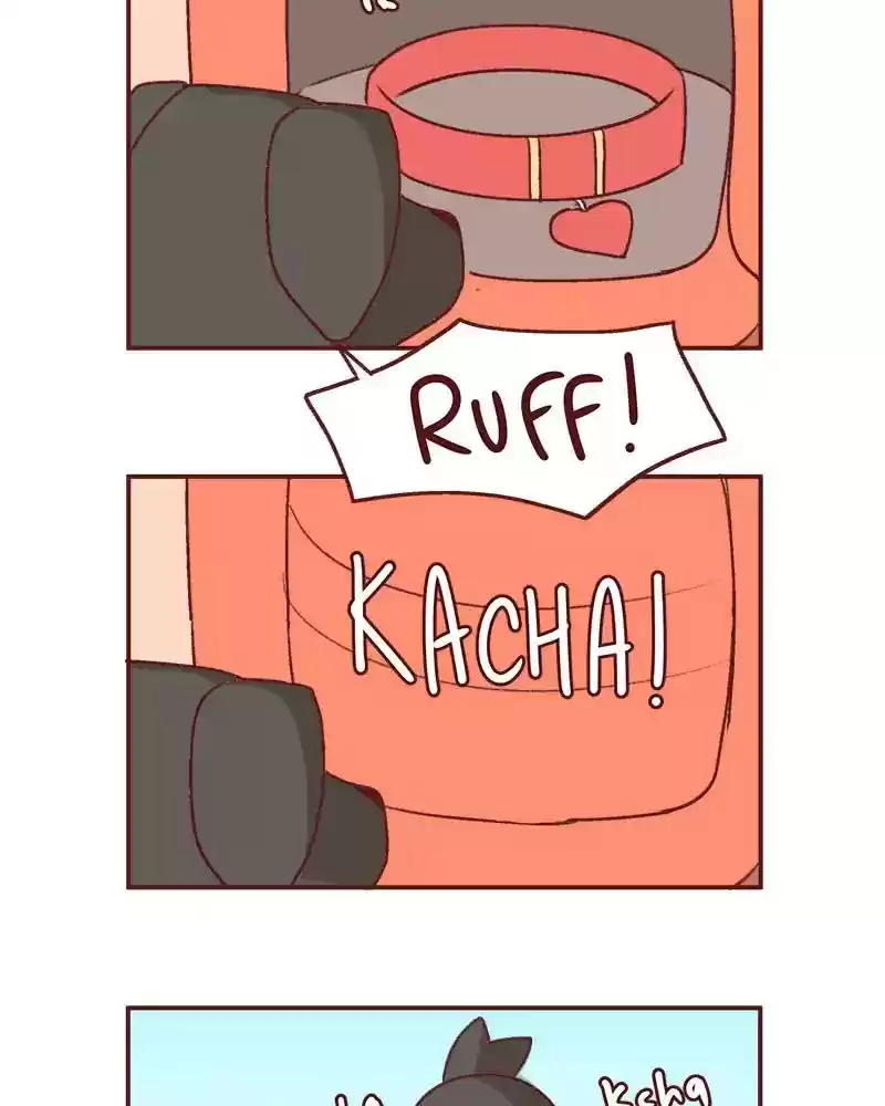 Saphie: The One-Eyed Cat Chapter 359: