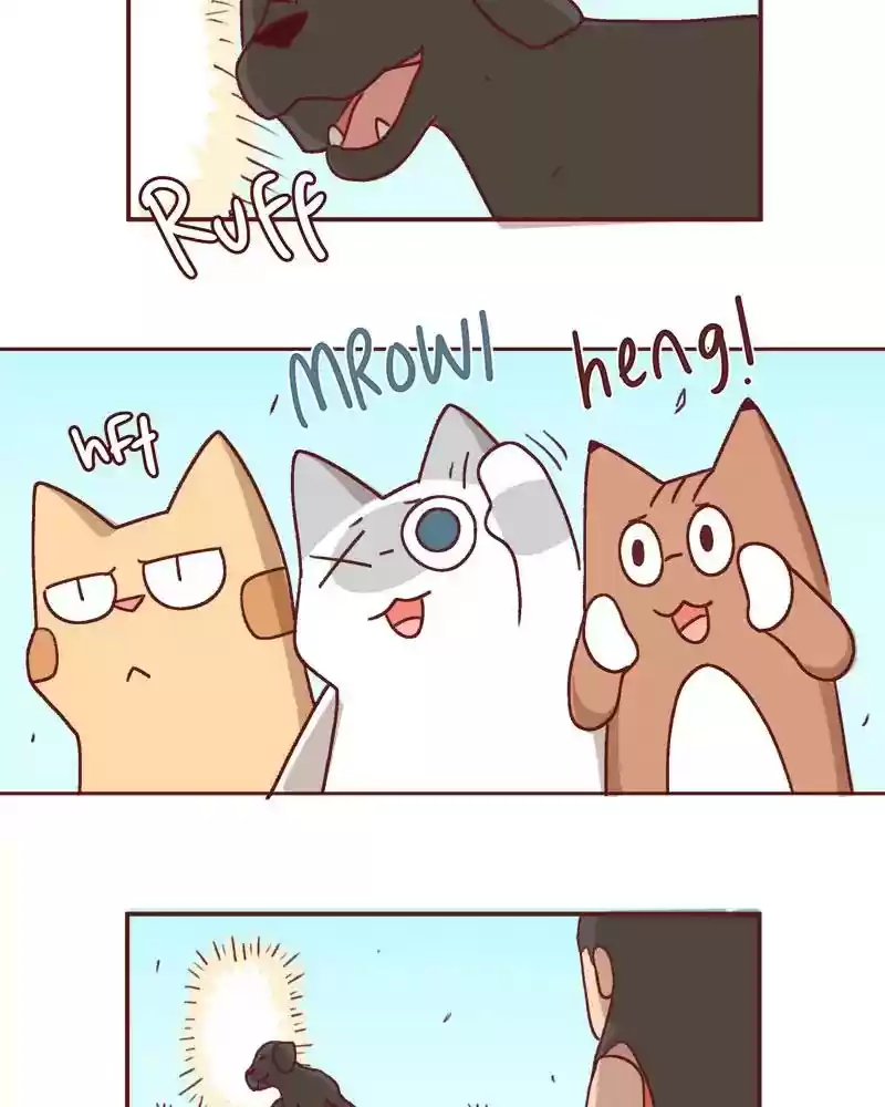 Saphie: The One-Eyed Cat Chapter 359: