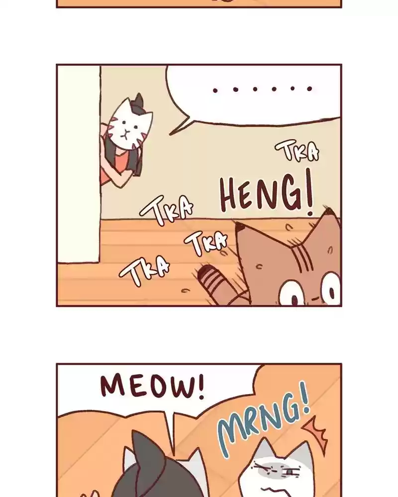 Saphie: The One-Eyed Cat Chapter 360: