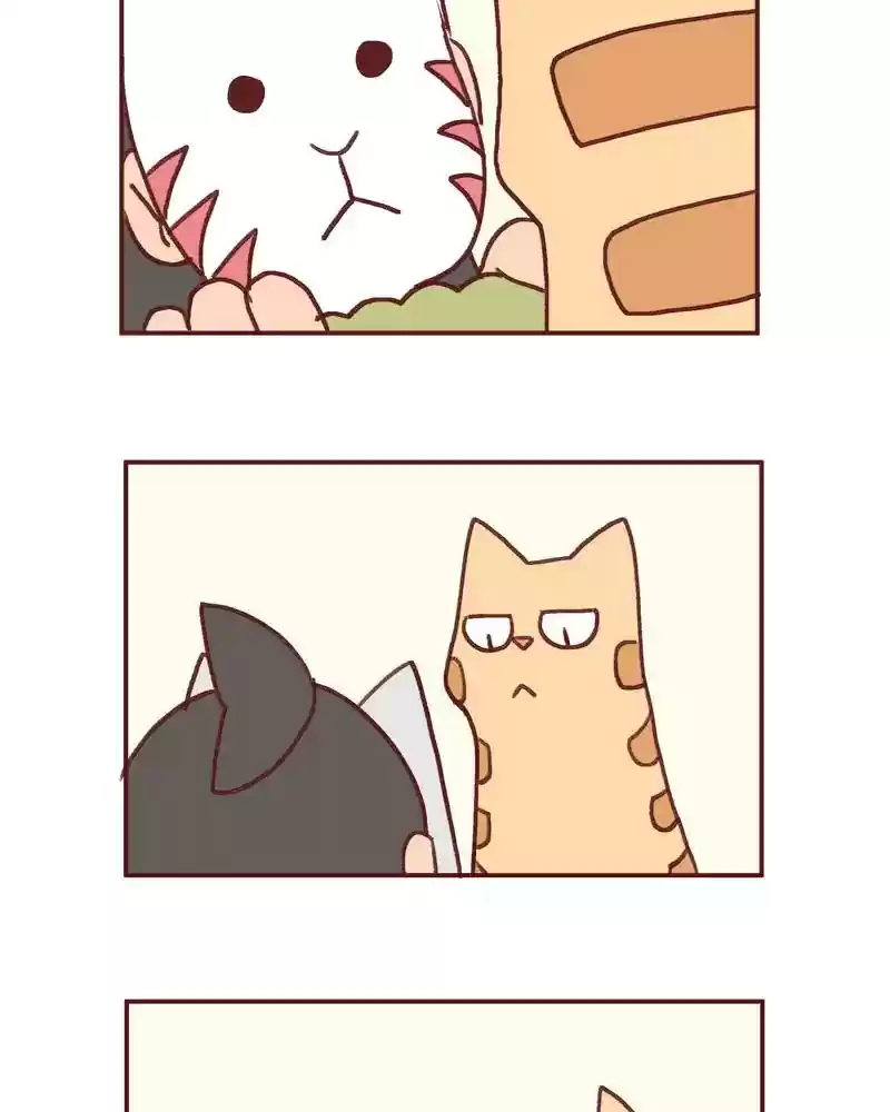 Saphie: The One-Eyed Cat Chapter 360: