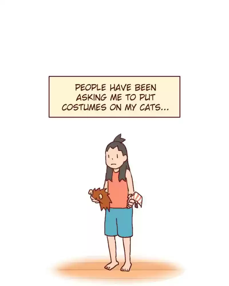 Saphie: The One-Eyed Cat Chapter 361: