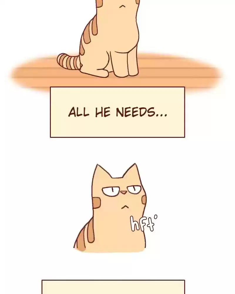 Saphie: The One-Eyed Cat Chapter 361: