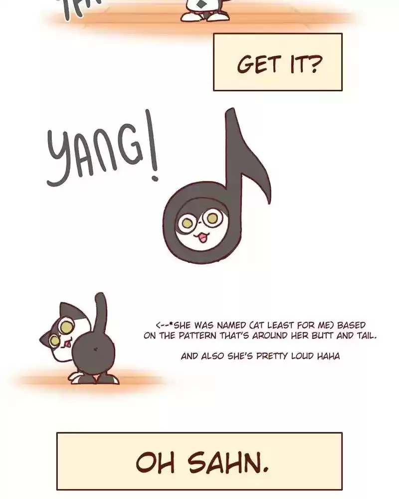 Saphie: The One-Eyed Cat Chapter 361: