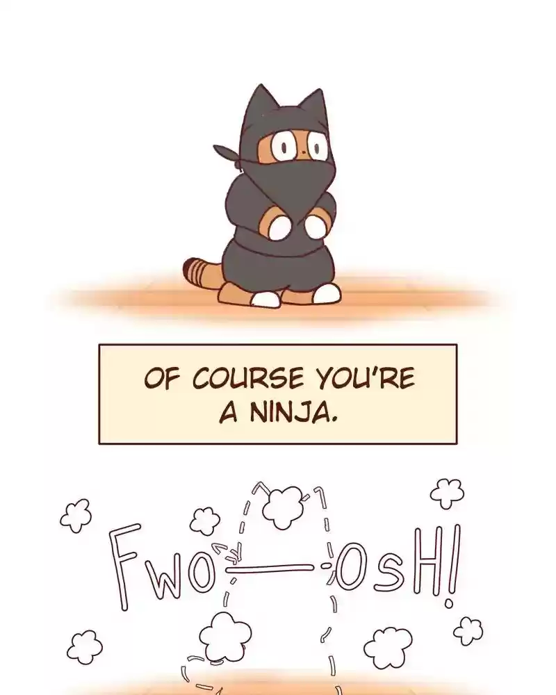 Saphie: The One-Eyed Cat Chapter 361: