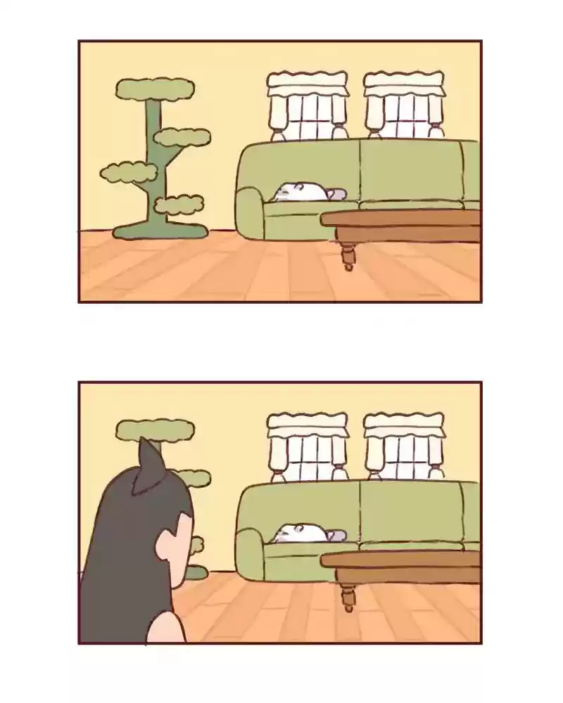 Saphie: The One-Eyed Cat Chapter 362: