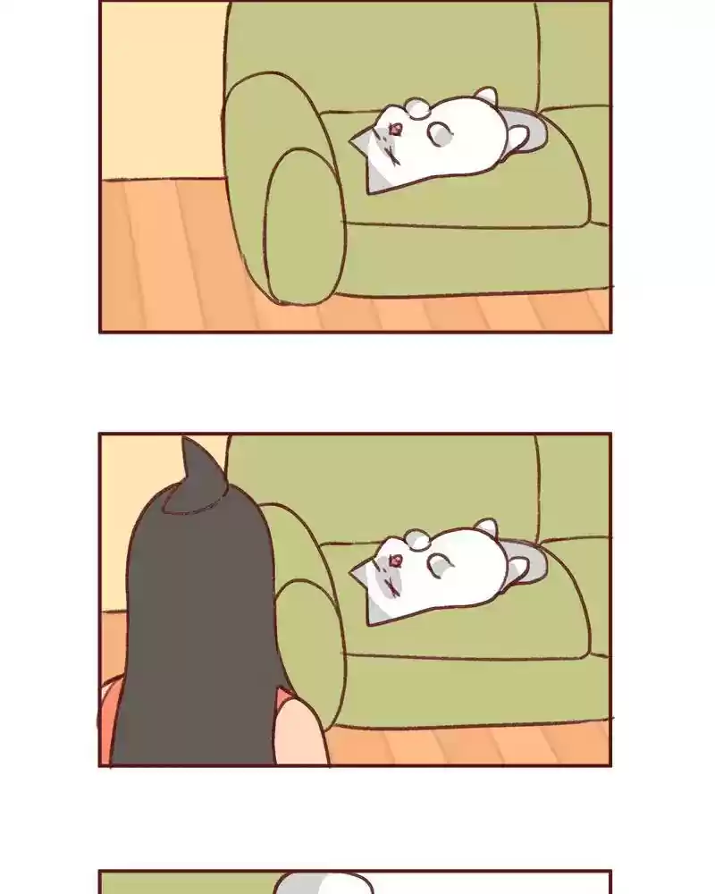 Saphie: The One-Eyed Cat Chapter 362: